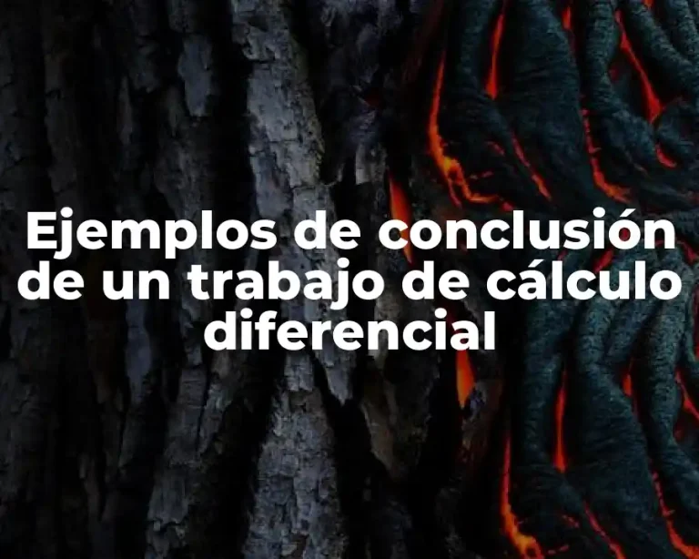 Ejemplos de conclusión de un trabajo de cálculo diferencial