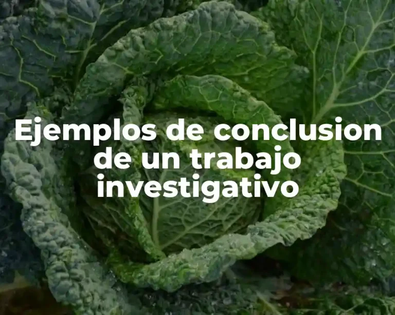Ejemplos de conclusion de un trabajo investigativo