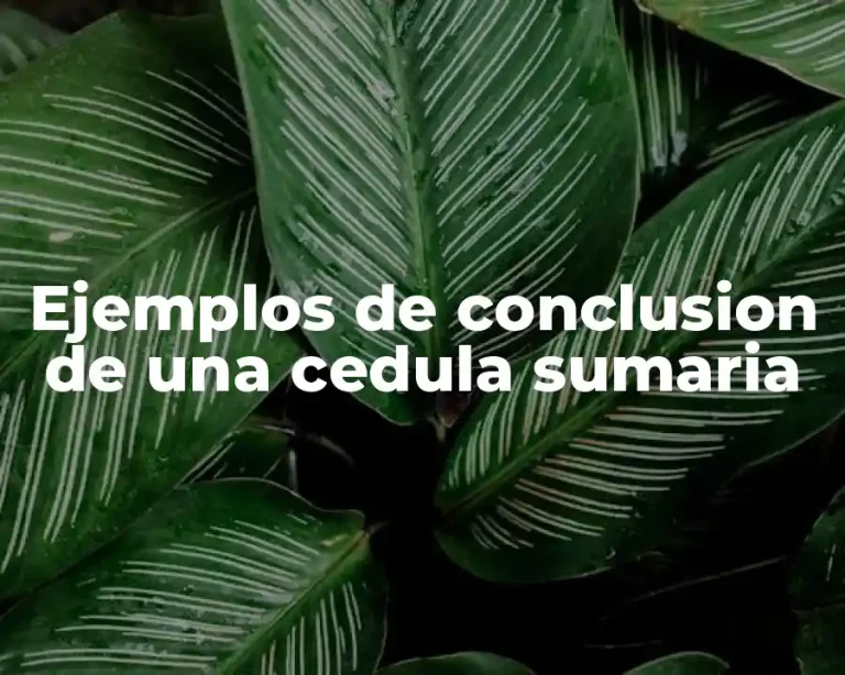 Ejemplos de conclusion de una cedula sumaria