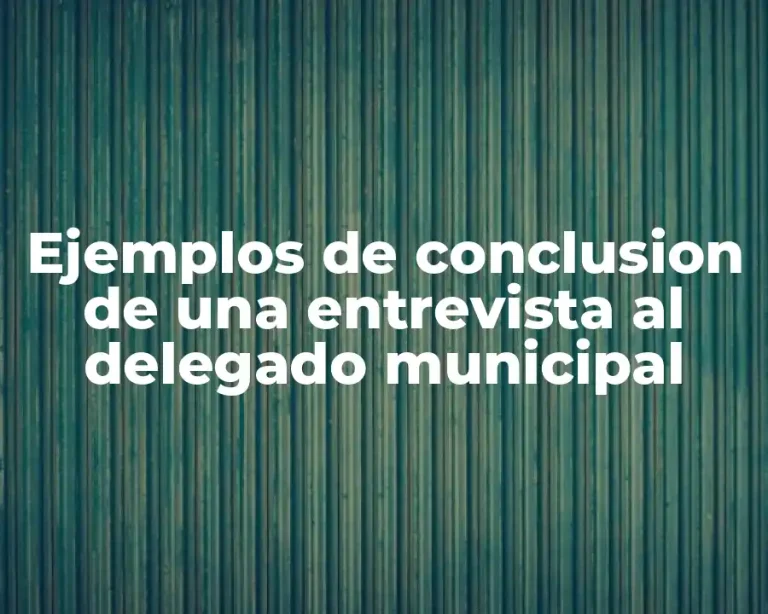 Ejemplos de conclusion de una entrevista al delegado municipal