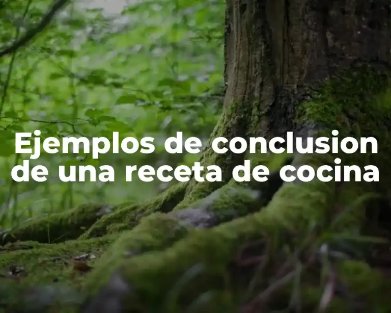 Ejemplos de conclusion de una receta de cocina