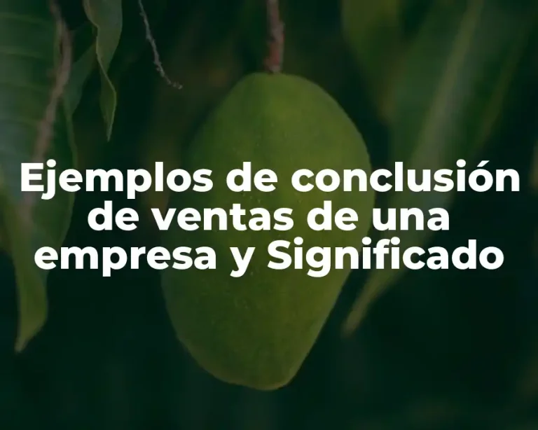 Ejemplos de conclusión de ventas de una empresa y Significado