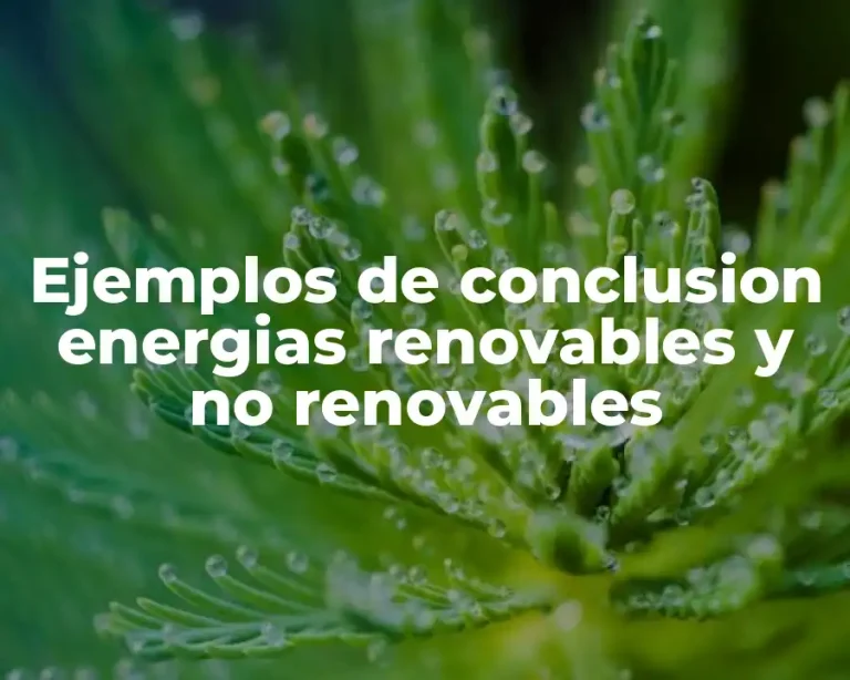 Ejemplos de conclusion energias renovables y no renovables