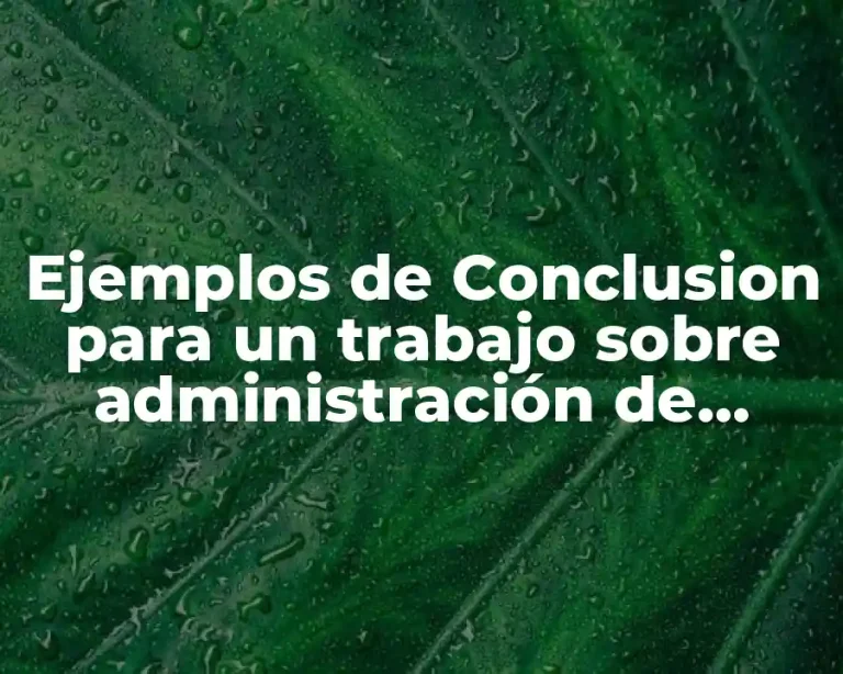 Ejemplos de Conclusion para un trabajo sobre administración de empresas