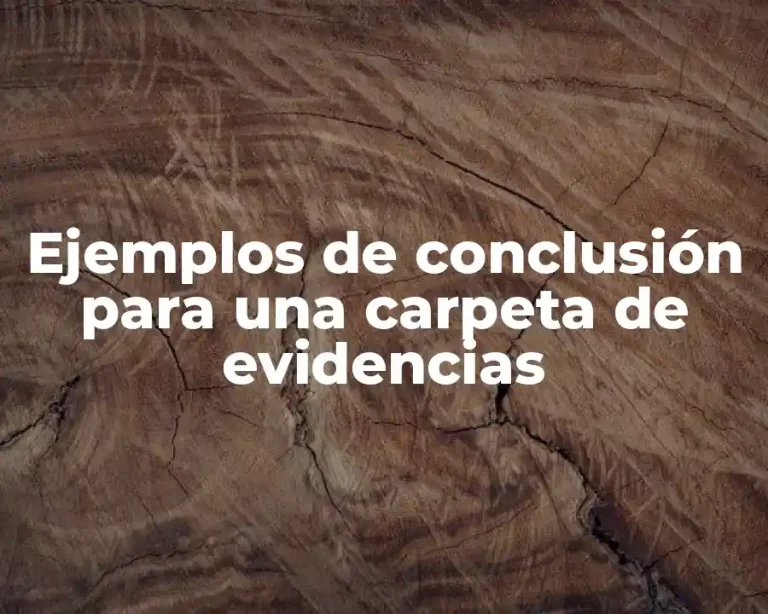 Ejemplos de conclusión para una carpeta de evidencias