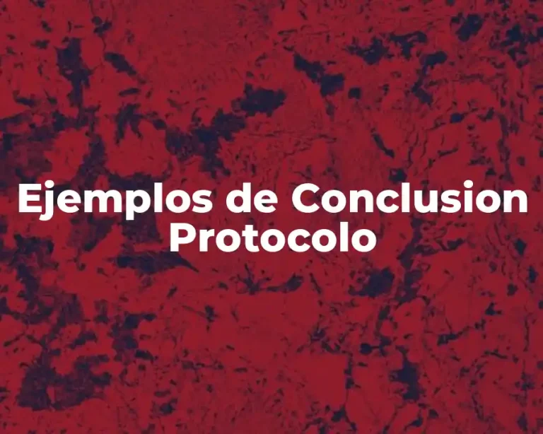 Ejemplos de Conclusion Protocolo