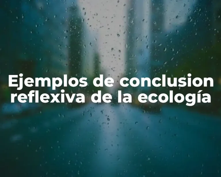 Ejemplos de conclusion reflexiva de la ecología