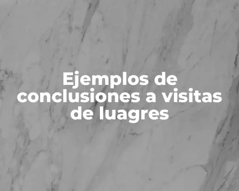 Ejemplos de conclusiones a visitas de luagres