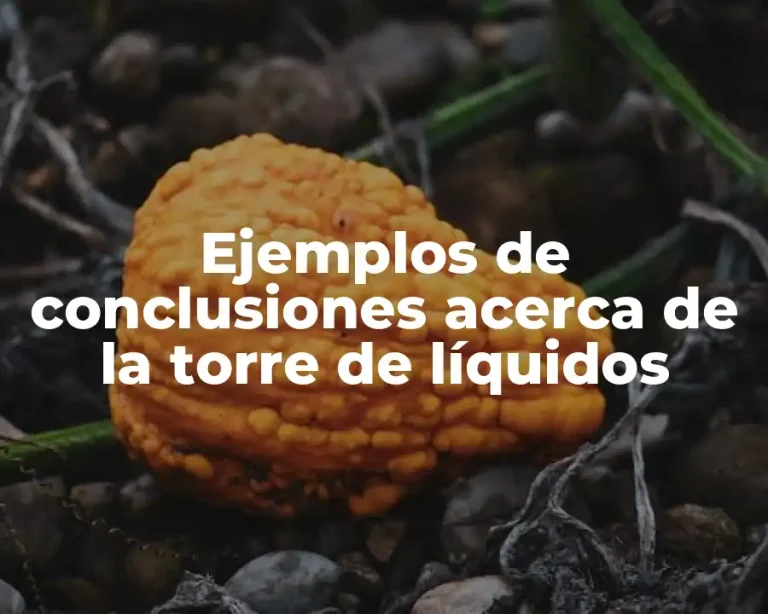 Ejemplos de conclusiones acerca de la torre de líquidos
