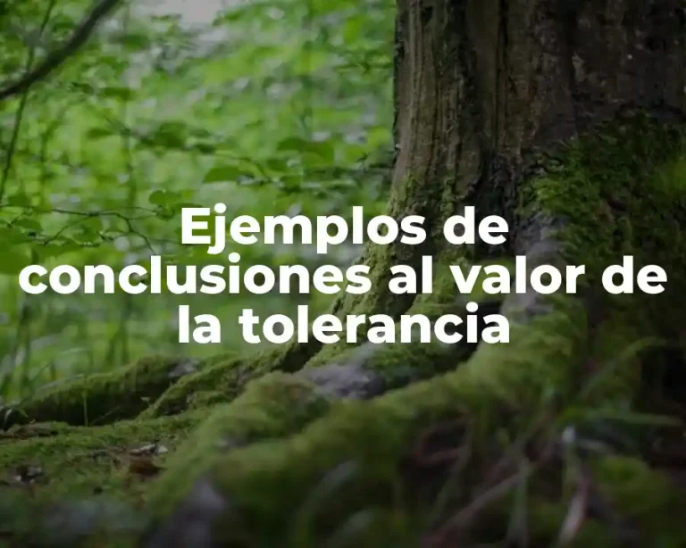 Ejemplos de conclusiones al valor de la tolerancia