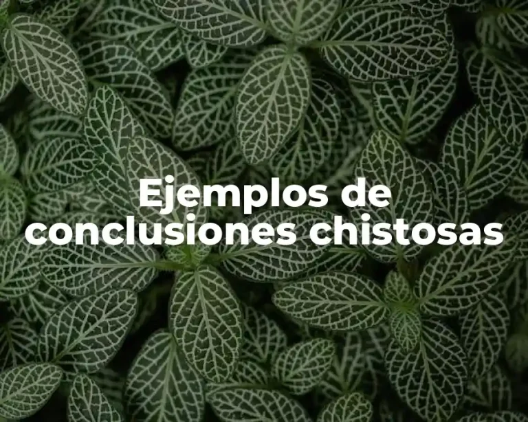Ejemplos de conclusiones chistosas
