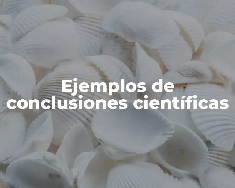 Ejemplos de conclusiones científicas