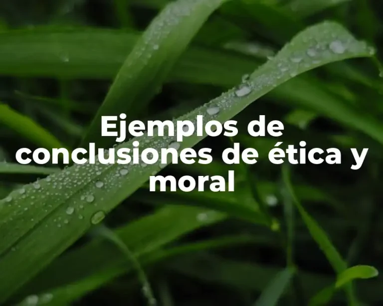 Ejemplos de conclusiones de ética y moral