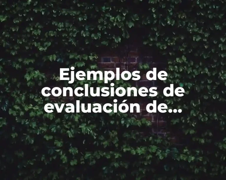 Ejemplos de conclusiones de evaluación de desempeño y Significado