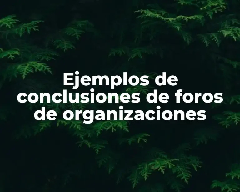 Ejemplos de conclusiones de foros de organizaciones