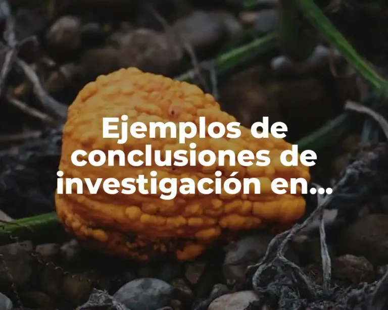 Ejemplos de conclusiones de investigación en enfermeria y Significado