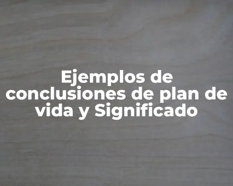 Ejemplos de conclusiones de plan de vida y Significado