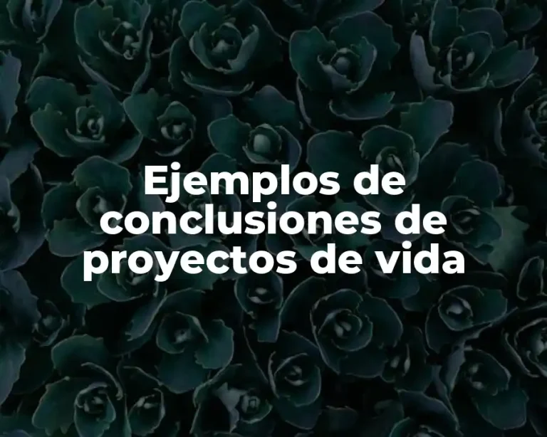 Ejemplos de conclusiones de proyectos de vida