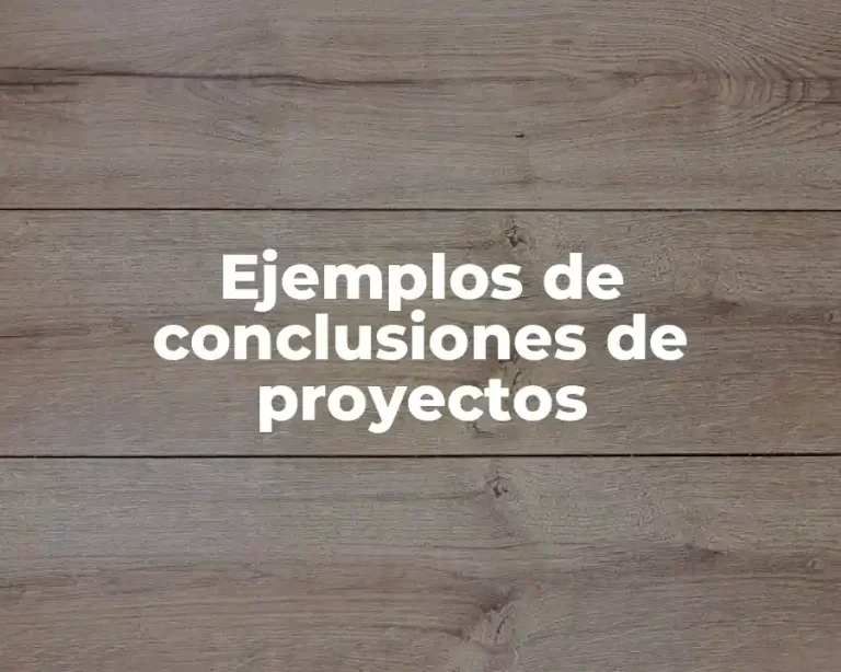 Ejemplos de conclusiones de proyectos