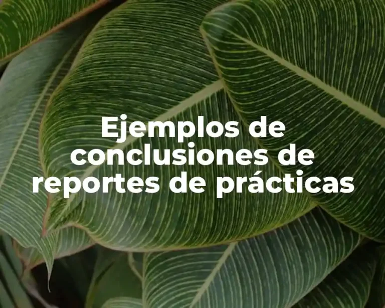 Ejemplos de conclusiones de reportes de prácticas