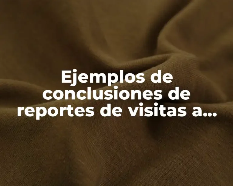 Ejemplos de conclusiones de reportes de visitas a empresas y Significado