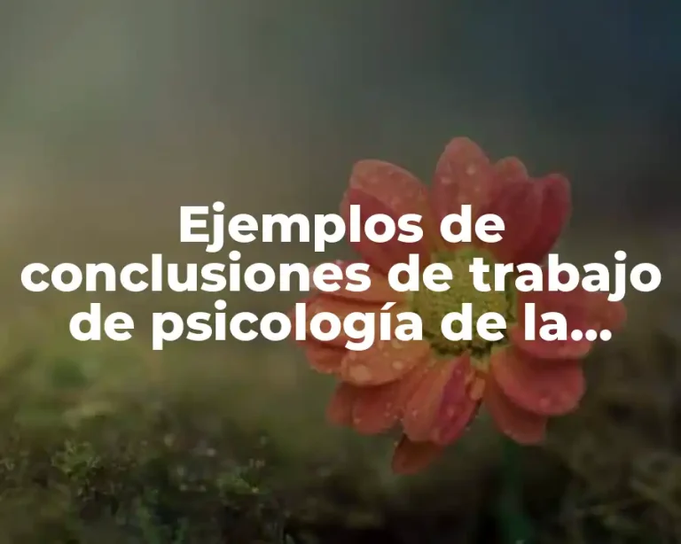Ejemplos de conclusiones de trabajo de psicología de la salud y Significado