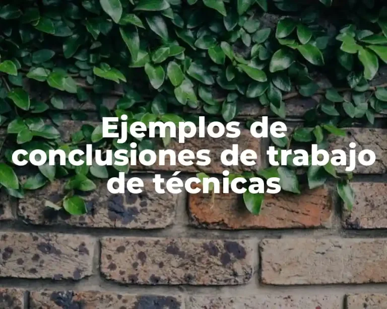 Ejemplos de conclusiones de trabajo de técnicas