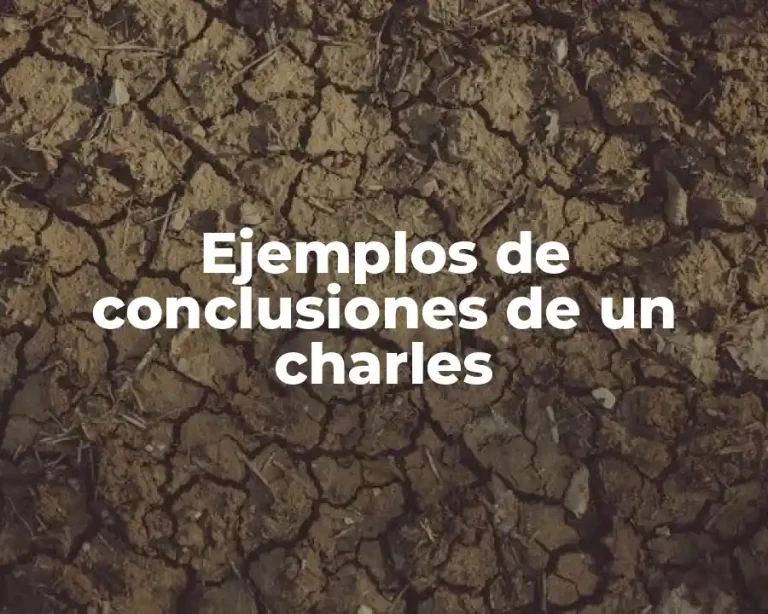 Ejemplos de conclusiones de un charles
