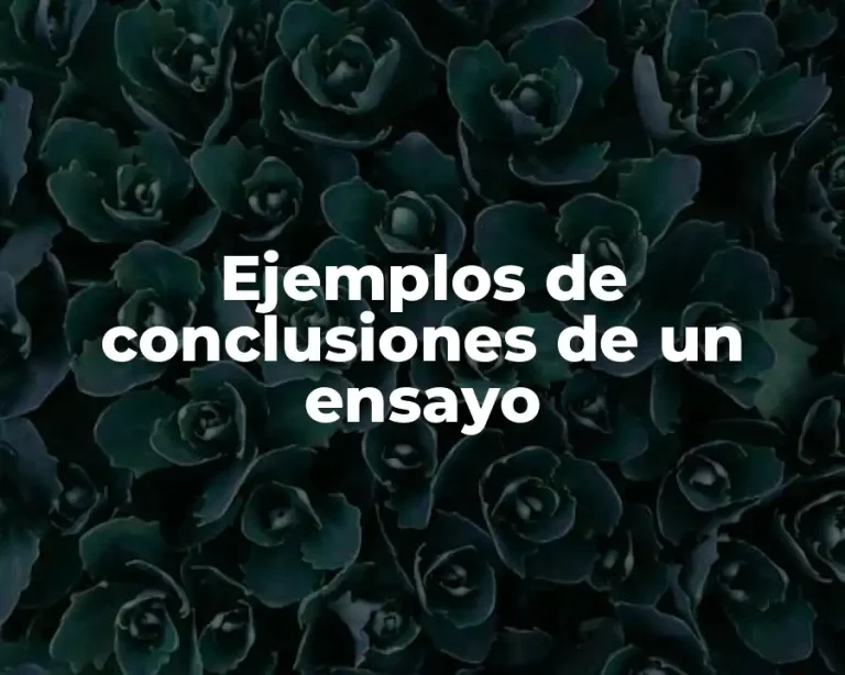 Ejemplos de conclusiones de un ensayo