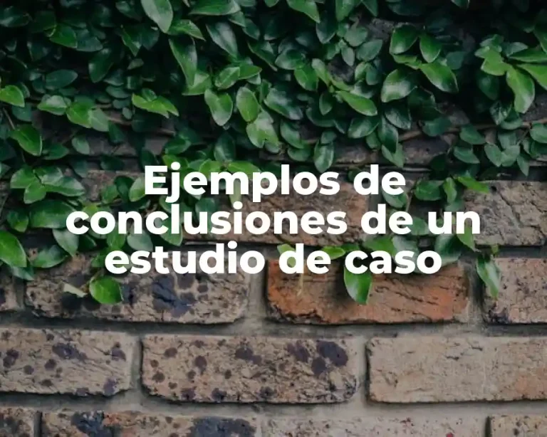 Ejemplos de conclusiones de un estudio de caso