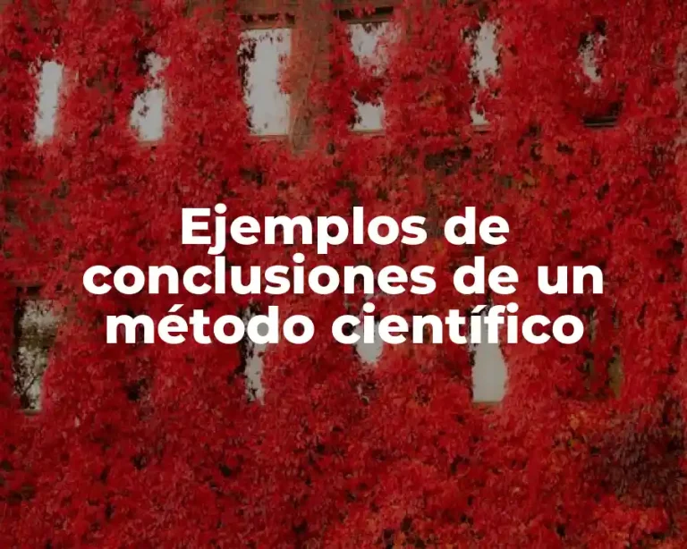 Ejemplos de conclusiones de un método científico