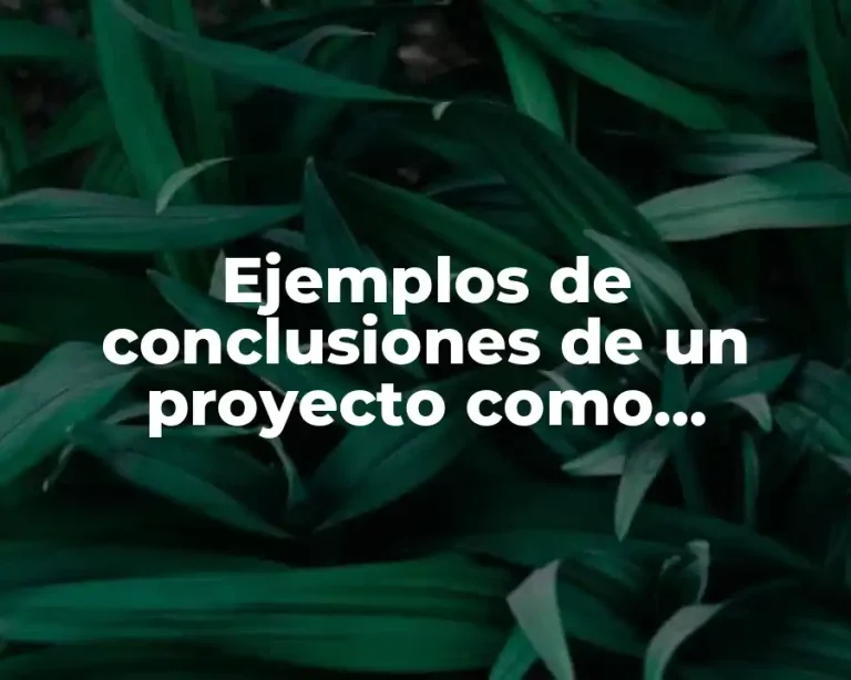 Ejemplos de conclusiones de un proyecto como estudiante