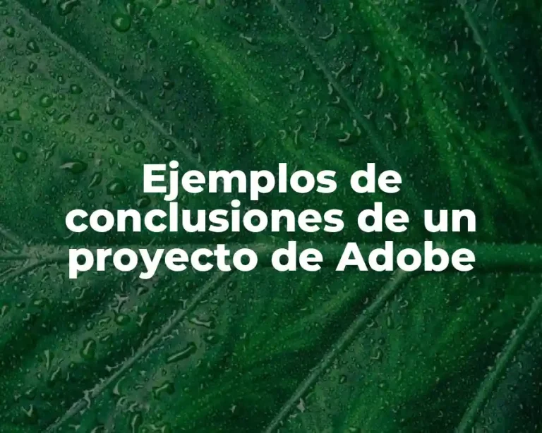 Ejemplos de conclusiones de un proyecto de Adobe