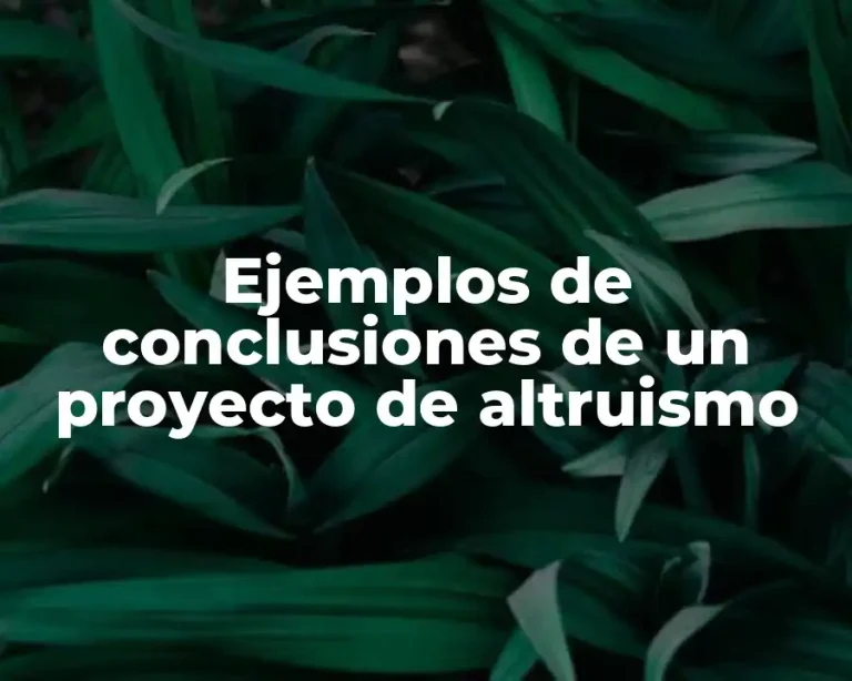Ejemplos de conclusiones de un proyecto de altruismo