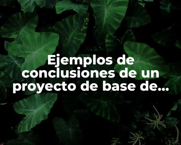 Ejemplos de conclusiones de un proyecto de base de datos
