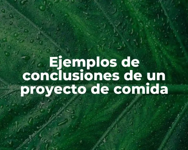 Ejemplos de conclusiones de un proyecto de comida