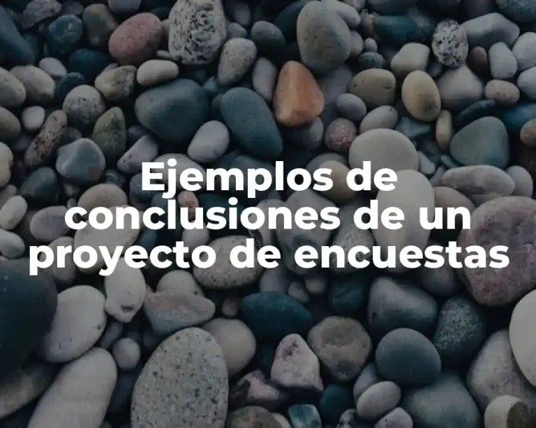 Ejemplos de conclusiones de un proyecto de encuestas