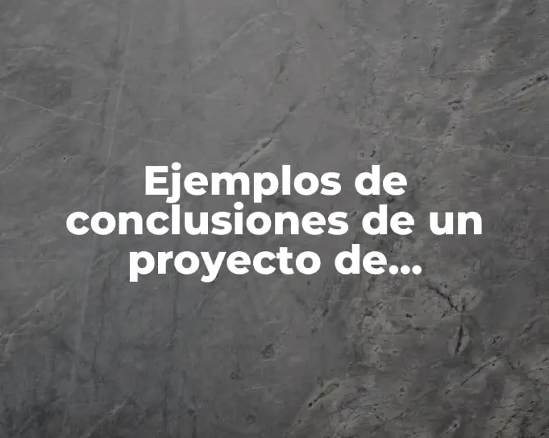 Ejemplos de conclusiones de un proyecto de exportación