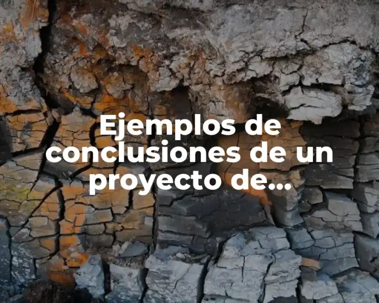 Ejemplos de conclusiones de un proyecto de investigación de Acapulco