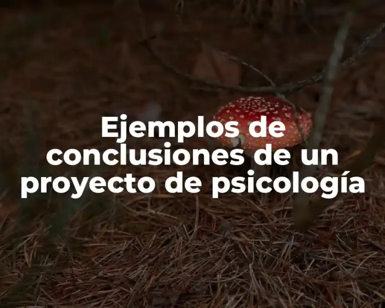 Ejemplos de conclusiones de un proyecto de psicología