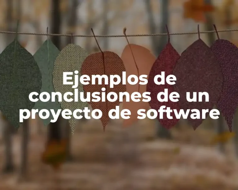 Ejemplos de conclusiones de un proyecto de software
