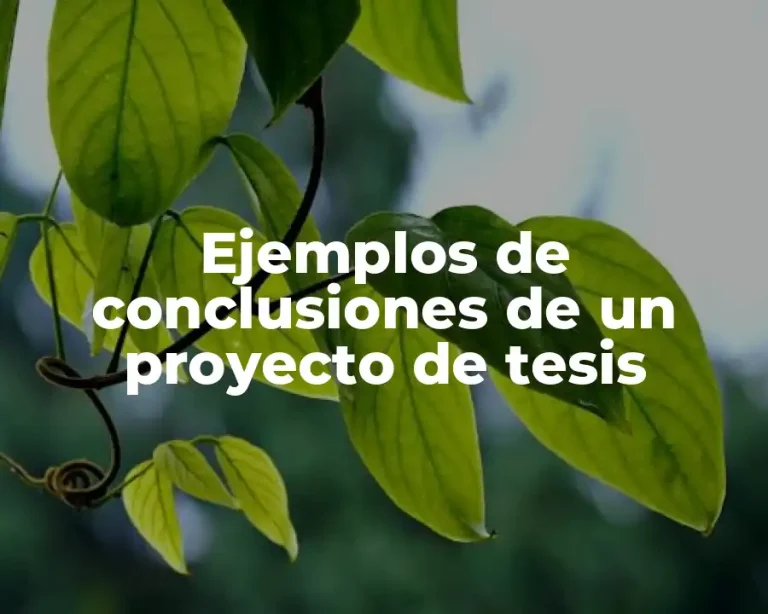 Ejemplos de conclusiones de un proyecto de tesis