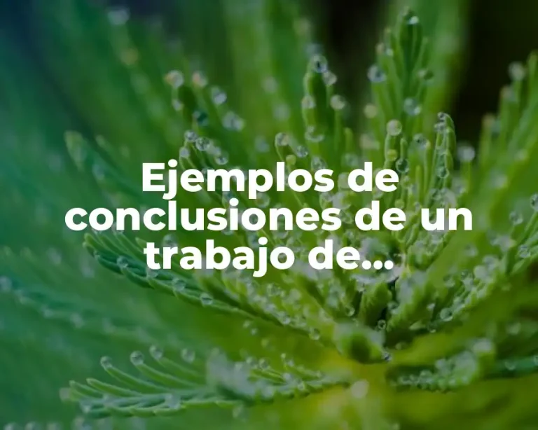 Ejemplos de conclusiones de un trabajo de investigación