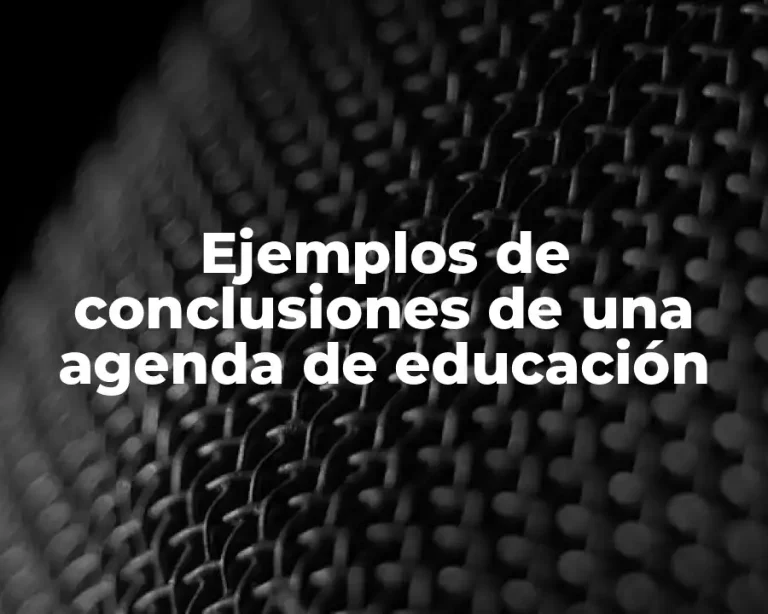 Ejemplos de conclusiones de una agenda de educación
