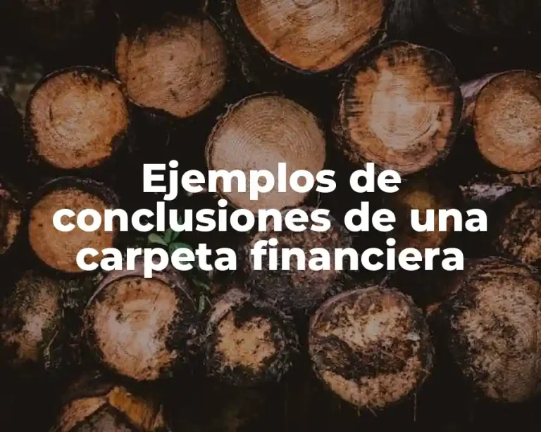 Ejemplos de conclusiones de una carpeta financiera