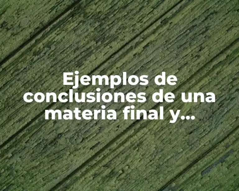 Ejemplos de conclusiones de una materia final y Significado