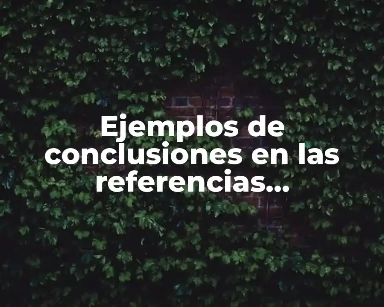 Ejemplos de conclusiones en las referencias bibliográficas