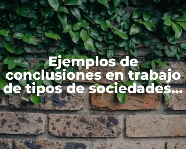 Ejemplos de conclusiones en trabajo de tipos de sociedades industriales