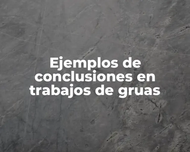Ejemplos de conclusiones en trabajos de gruas