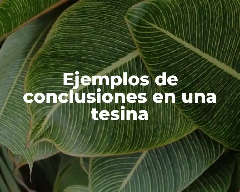 Ejemplos de conclusiones en una tesina